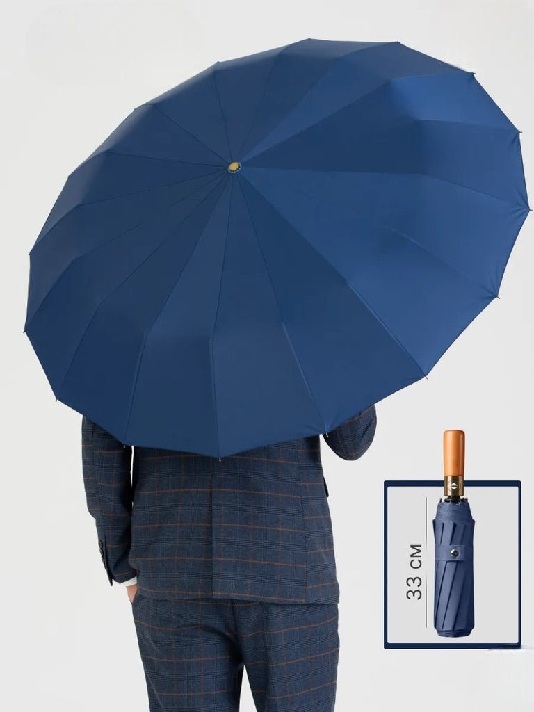 Parapluie pliant automatique, à grand diamètre, renforcé, anti - vent et déperlant, modèle Alistair - Sacoche - Bleu